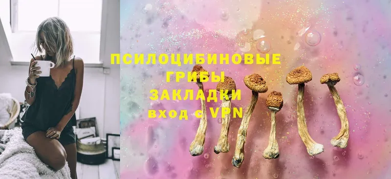 наркота  Камызяк  Галлюциногенные грибы MAGIC MUSHROOMS 